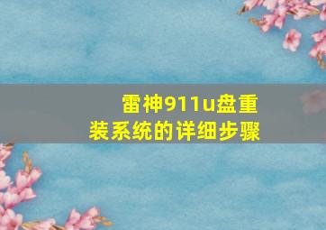 雷神911u盘重装系统的详细步骤