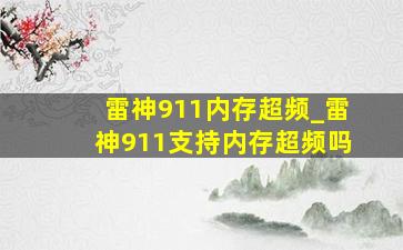 雷神911内存超频_雷神911支持内存超频吗