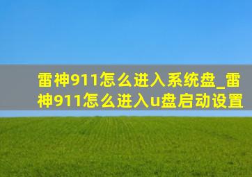 雷神911怎么进入系统盘_雷神911怎么进入u盘启动设置