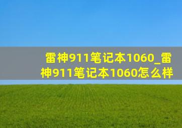 雷神911笔记本1060_雷神911笔记本1060怎么样