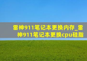 雷神911笔记本更换内存_雷神911笔记本更换cpu硅脂