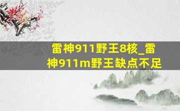 雷神911野王8核_雷神911m野王缺点不足