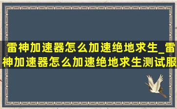 雷神加速器怎么加速绝地求生_雷神加速器怎么加速绝地求生测试服