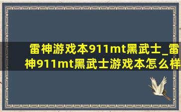 雷神游戏本911mt黑武士_雷神911mt黑武士游戏本怎么样