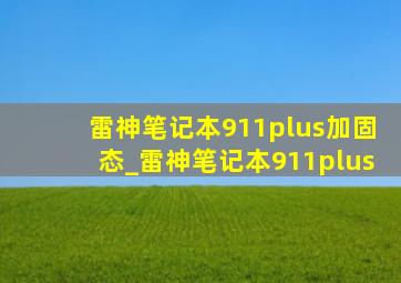 雷神笔记本911plus加固态_雷神笔记本911plus