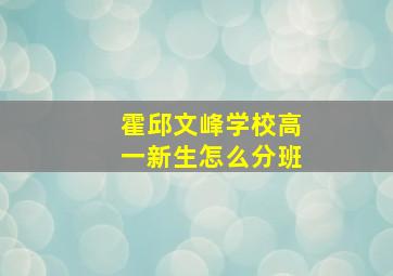 霍邱文峰学校高一新生怎么分班