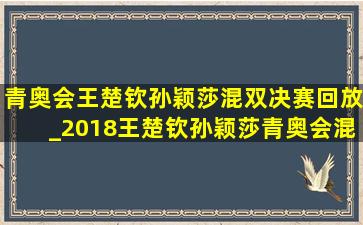 青奥会王楚钦孙颖莎混双决赛回放_2018王楚钦孙颖莎青奥会混双决赛