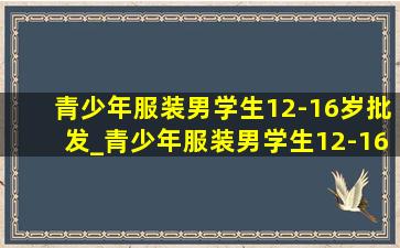 青少年服装男学生12-16岁批发_青少年服装男学生12-16岁酷酷装