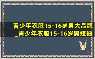 青少年衣服15-16岁男大品牌_青少年衣服15-16岁男短袖