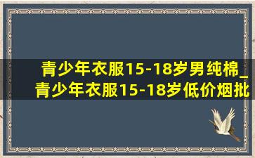 青少年衣服15-18岁男纯棉_青少年衣服15-18岁(低价烟批发网)旗舰店