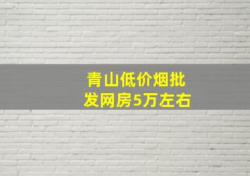 青山(低价烟批发网)房5万左右