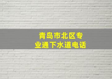 青岛市北区专业通下水道电话