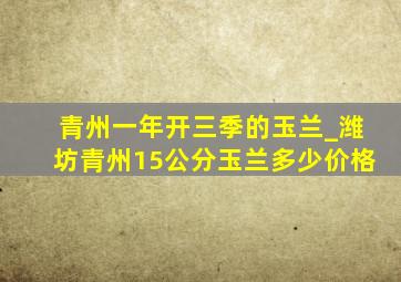 青州一年开三季的玉兰_潍坊青州15公分玉兰多少价格