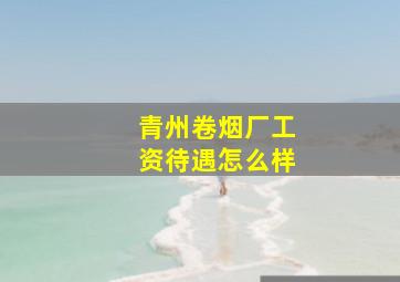 青州卷烟厂工资待遇怎么样