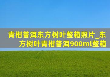 青柑普洱东方树叶整箱照片_东方树叶青柑普洱900ml整箱