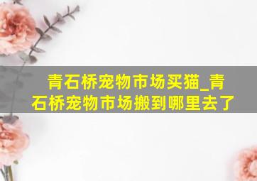 青石桥宠物市场买猫_青石桥宠物市场搬到哪里去了