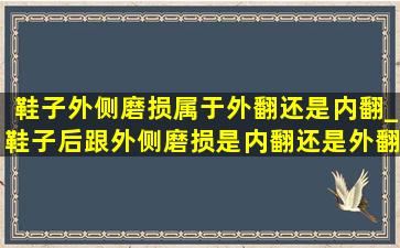 鞋子外侧磨损属于外翻还是内翻_鞋子后跟外侧磨损是内翻还是外翻