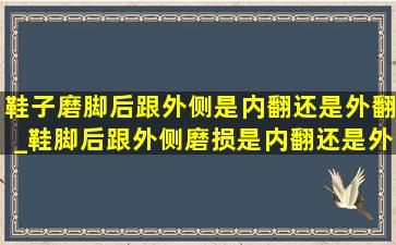 鞋子磨脚后跟外侧是内翻还是外翻_鞋脚后跟外侧磨损是内翻还是外翻