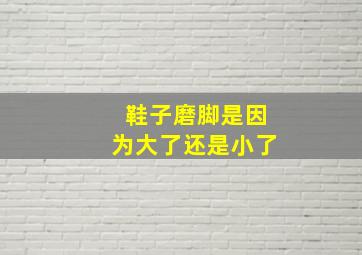 鞋子磨脚是因为大了还是小了