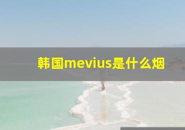 韩国mevius是什么烟