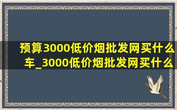 预算3000(低价烟批发网)买什么车_3000(低价烟批发网)买什么车