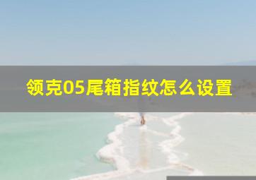 领克05尾箱指纹怎么设置