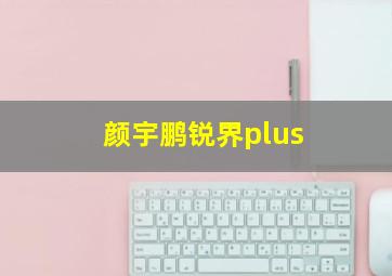 颜宇鹏锐界plus