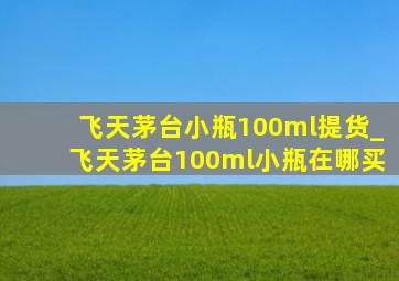 飞天茅台小瓶100ml提货_飞天茅台100ml小瓶在哪买