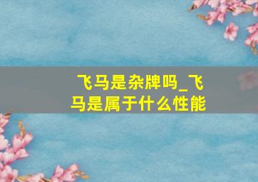 飞马是杂牌吗_飞马是属于什么性能