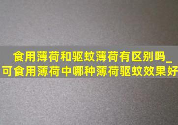 食用薄荷和驱蚊薄荷有区别吗_可食用薄荷中哪种薄荷驱蚊效果好