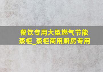 餐饮专用大型燃气节能蒸柜_蒸柜商用厨房专用