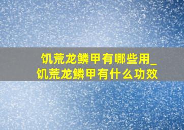 饥荒龙鳞甲有哪些用_饥荒龙鳞甲有什么功效