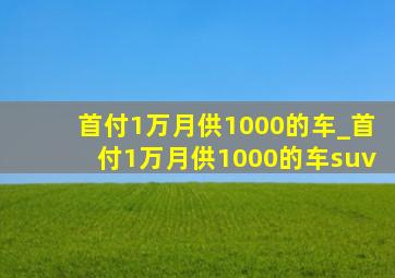 首付1万月供1000的车_首付1万月供1000的车suv