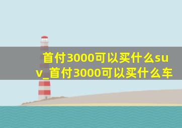 首付3000可以买什么suv_首付3000可以买什么车