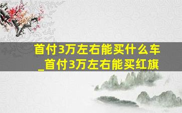 首付3万左右能买什么车_首付3万左右能买红旗