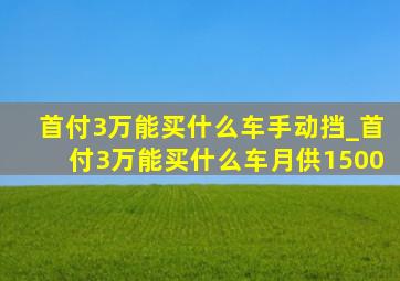 首付3万能买什么车手动挡_首付3万能买什么车月供1500