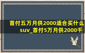 首付五万月供2000适合买什么suv_首付5万月供2000千可买什么suv车