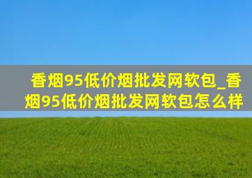 香烟95(低价烟批发网)软包_香烟95(低价烟批发网)软包怎么样