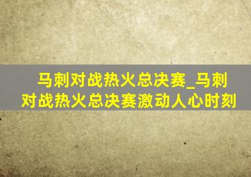 马刺对战热火总决赛_马刺对战热火总决赛激动人心时刻