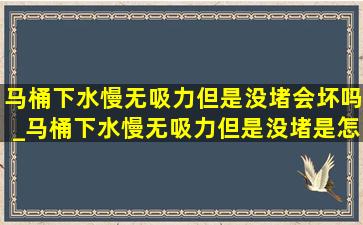 马桶下水慢无吸力但是没堵会坏吗_马桶下水慢无吸力但是没堵是怎么回事