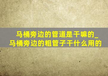 马桶旁边的管道是干嘛的_马桶旁边的粗管子干什么用的