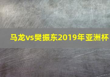 马龙vs樊振东2019年亚洲杯