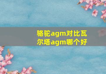 骆驼agm对比瓦尔塔agm哪个好