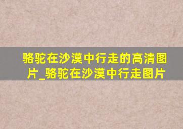 骆驼在沙漠中行走的高清图片_骆驼在沙漠中行走图片