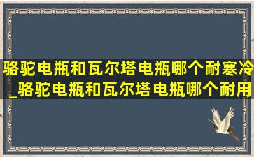 骆驼电瓶和瓦尔塔电瓶哪个耐寒冷_骆驼电瓶和瓦尔塔电瓶哪个耐用