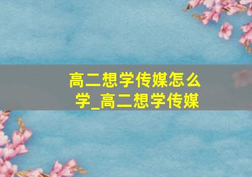 高二想学传媒怎么学_高二想学传媒