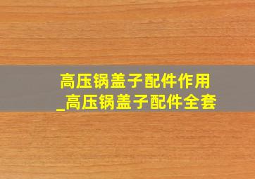 高压锅盖子配件作用_高压锅盖子配件全套