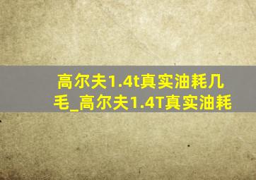 高尔夫1.4t真实油耗几毛_高尔夫1.4T真实油耗