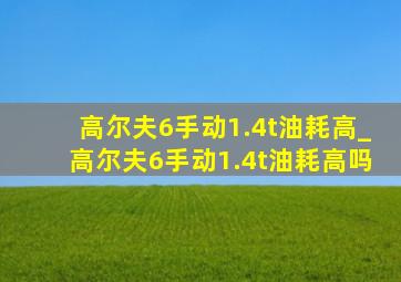 高尔夫6手动1.4t油耗高_高尔夫6手动1.4t油耗高吗