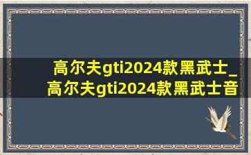 高尔夫gti2024款黑武士_高尔夫gti2024款黑武士音响